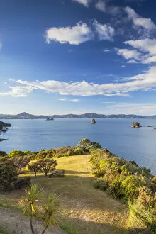 Images Dated 27th February 2014: View of Cathedral Cove Marine Reserve (Te Whanganui-A-Hei), Coromandel Peninsula