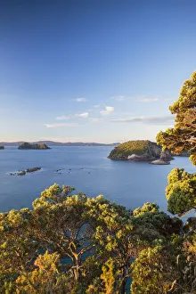 Coromandel Prints: View of Cathedral Cove Marine Reserve (Te Whanganui-A-Hei) from Te Pare Point, Hahei