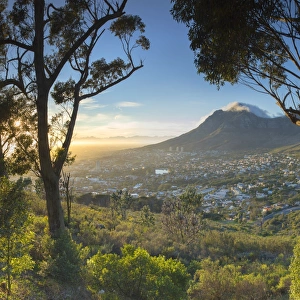 South Africa Gallery: View of City Bowl and Table Mountain, Cape Town, Western Cape, South Africa