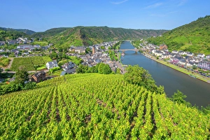River Mosel Prints: View from Cochem castle at Cochem, Mosel valley, Rhineland-Palatinate, Germany