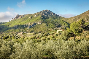 In The Morning Prints: View from the Coll de Sa Gramola into the Serra de Tramuntana mountains