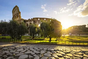 Pathway Collection: View of the Colosseum during a winter sunrise from the Via Sacra. Rome, Lazio, Italy
