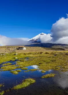 Active Gallery: View towards Cotopaxi Volcano, Cotopaxi National Park, Cotopaxi Province, Ecuador