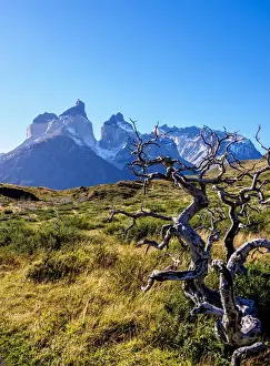 Ultima Esperanza Prints: View towards Cuernos del Paine, Torres del Paine National Park, Patagonia, Chile