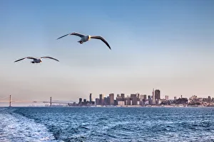 Bay Bridge Prints: View from ferry towards downtown, San Francisco, California, USA
