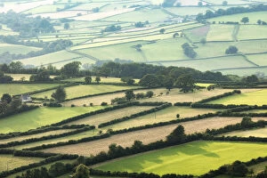 View over fields near Llangorse from Mynydd Troed in The Black Mountains