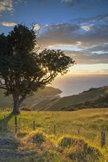 View of Firth of Thames at sunset, Coromandel Peninsula, North Island, New Zealand