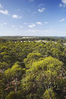 Western Australia Collection: View over Gloucester National Park, Pemberton, Western Australia, Australia