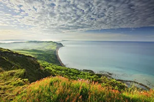 Lyme Bay Prints: View from Golden Cap looking towards Seatown, Dorset, England