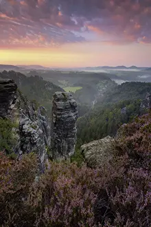 View of the Hoellenhund and gans rocks in the Elbe Sandstone Mountains