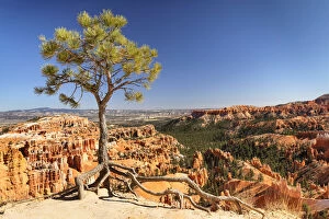 Images Dated 27th May 2021: View from Inspiration Point, Bryce Canyon National Park, Colorado Plateau, Utah, USA