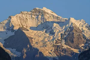 Images Dated 1st September 2021: View at the Jungfrau, Grindelwald, Berner Oberland, Canton Berne, Switzerland