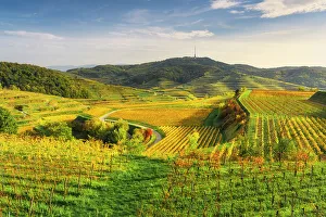 Baden Wuerttemberg Prints: View over the Kaiserstuhl wine-growing region in autumn