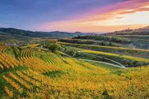 Baden Wuerttemberg Prints: View over the Kaiserstuhl wine-growing region in autumn