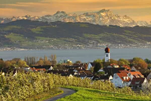 View over Kressbronn to Lake Constance and Swiss Alps with Santis (2502m) during the blossming season of the fruit