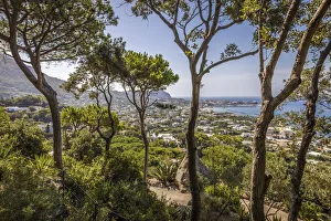 Forio Prints: View from La Mortella garden in Forio on San Francesco, Ischia Island, Gulf of Naples