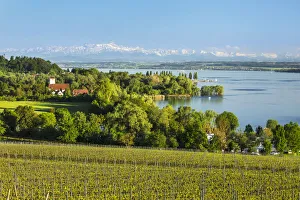 View over Lake Constance to Swiss Alps with Santis (2502m), Unteruhldingen, Upper Swabia, Baden Wurttemberg, Germany