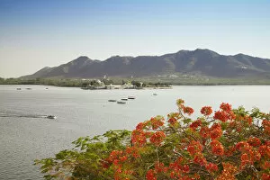 Images Dated 4th July 2011: View across Lake Pichola to Jagmandir Island, Udaipur, Rajasthan, India