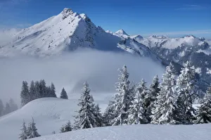 View at Litnisschrofen, Tannheim valley, Allgau, Tyrol, Austria