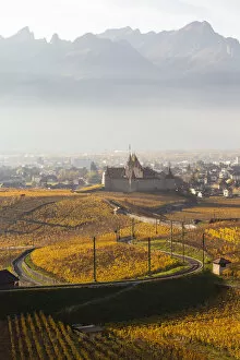 Aigle Gallery: View of the medieval Aigle castle and the surrounding vineyards and railway in autumn
