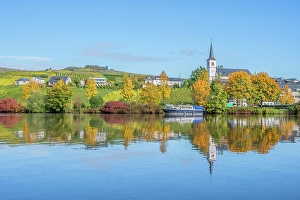 River Mosel Prints: View at Minheim, Mosel, Mosel valley, Rhineland-Palatinate, Germany