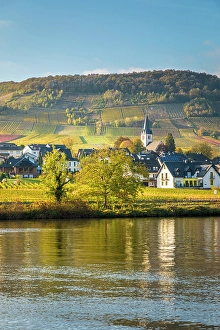 Wine Growing Region Prints: View over the Moselle to the town of Ellenz-Poltersdorf