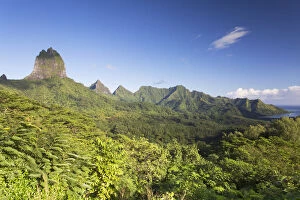 View of Mount Tohiea and mountain range, Mo orea, Society Islands, French Polynesia