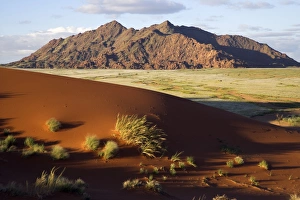 Dunes Gallery: View of the Naukluft mountains from Elim Dune near