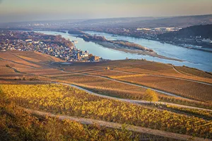 Rudesheim Prints: View from the Niederwald viewing terrace to Ruedesheim, Rheingau, Hesse, Germany