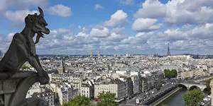 View from the Notre Dame Cathedral, Paris, France