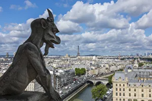 View from the Notre Dame Cathedral, Paris, France