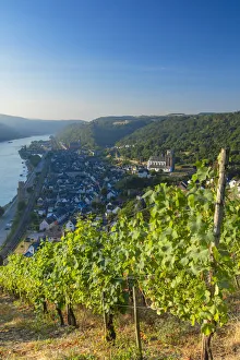 Romantic Rhine Prints: View of Oberwesel and River Rhine, Rhineland-Palatinate, Germany