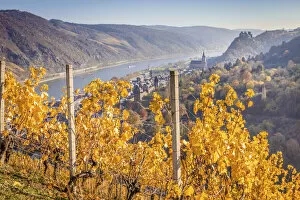 View of Oberwesel and Schoenburg Castle, Middle Rhine Valley, Rhineland-Palatinate