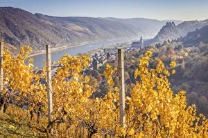 Rheinland Pfalz Gallery: View of Oberwesel and Schoenburg Castle, Middle Rhine Valley, Rhineland-Palatinate