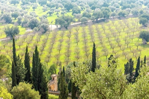 Manor House Prints: View from the observation pavilion of the Raixa estate into the plain