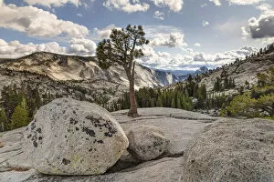Images Dated 27th May 2021: View from Olmsted Point to Half Dome, Yosemite National Park, California, USA