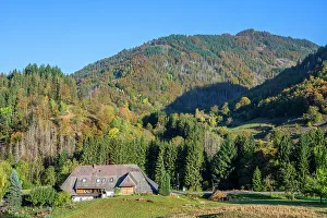 View at Prag near Todtnau, Black Forest, Baden-Wurttemberg, Germany