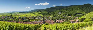 Ribeauville Prints: View above Ribeauville, Alsace, France
