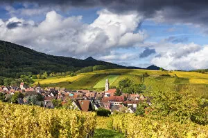 Alsace Gallery: View over Riquewihr, Alsace, France