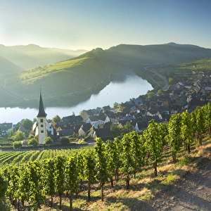 Ian Tower Prints: View of River Moselle, Bremm, Rhineland-Palatinate, Germany