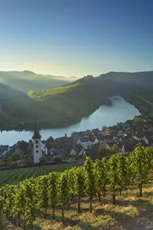 Slopes Prints: View of River Moselle, Bremm, Rhineland-Palatinate, Germany