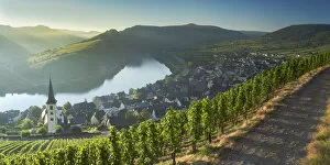 Images Dated 11th October 2016: View of River Moselle, Bremm, Rhineland-Palatinate, Germany