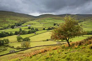 Images Dated 8th December 2021: View over rolling countryside in Swaledale, Yorkshire Dales National Park