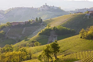View to Serralunga d Alba, Piedmont (or Piemonte or Piedmonte), Italy