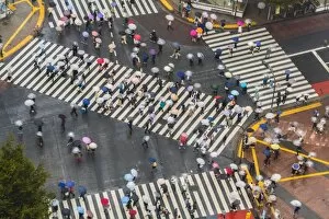 Japanese Gallery: View of Shibuya Crossing, one of the busiest crossings in the world, Tokyo, Japan