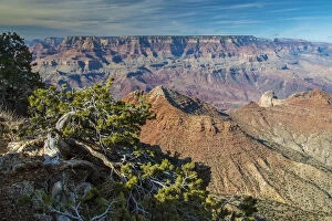 Images Dated 6th February 2015: Top view of south rim, Grand Canyon National Park, Arizona, USA