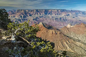 Top view of south rim, Grand Canyon National Park, Arizona, USA Top view of south rim, Grand Canyon National Park, Arizona, USA