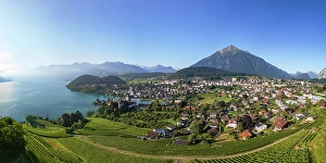 Lake Thun Prints: View of Spiez, Lake Thun and Niesen mountain, Spiez, Switzerland