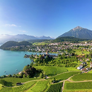 Lake Thun Prints: View of Spiez, Lake Thun and Niesen mountain, Spiez, Switzerland