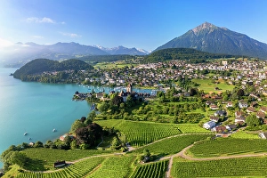 Lake Thun Prints: View of Spiez, Lake Thun and Niesen mountain, Spiez, Switzerland
